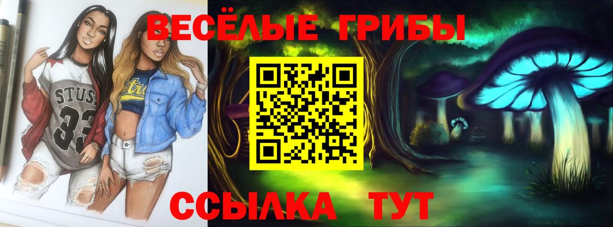 Гулькевичи  даркнет сайт  Вход с VPN  Псилоцибиновые грибы прущие грибы 