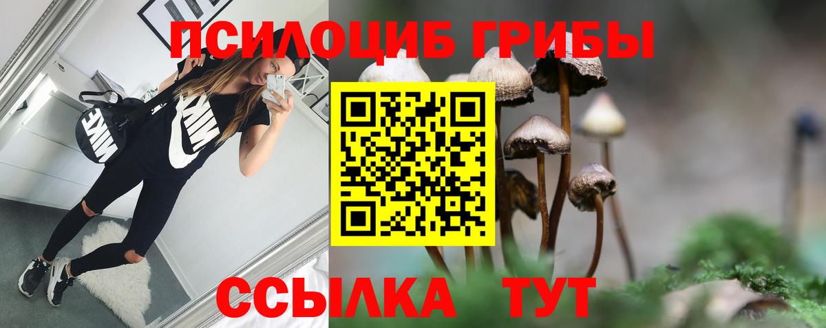 Галлюциногенные грибы мухоморы Гулькевичи